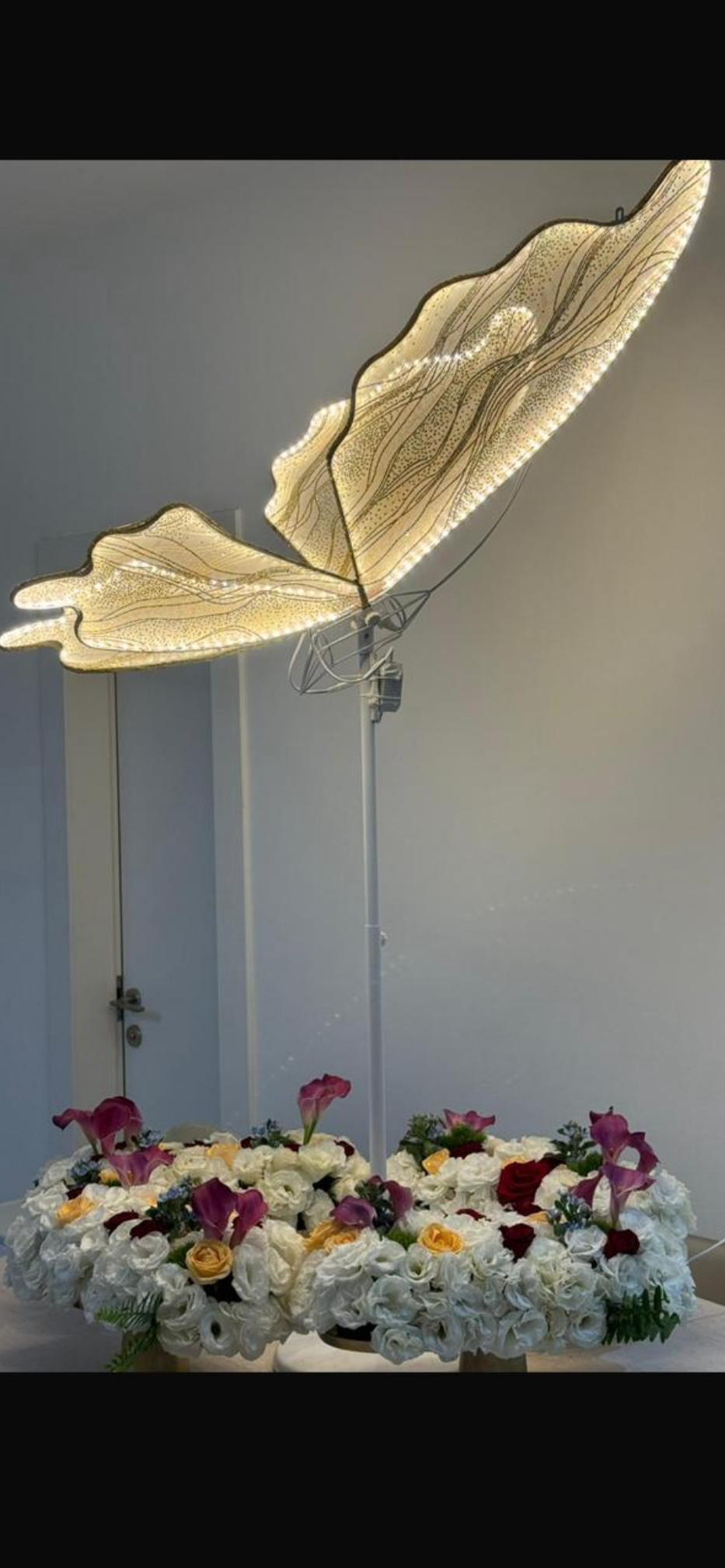 פרפר לד טלסקופי דקורטיבי