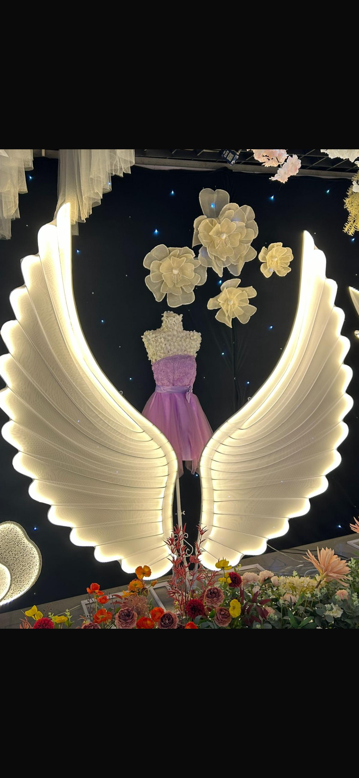 כנפיים מאורת לד-תפאורה לצילומים